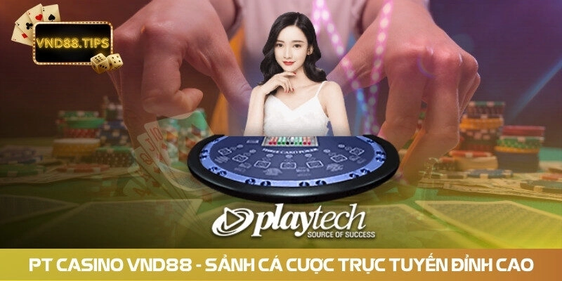 PT Casino vnd88