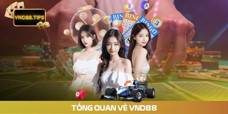 Tổng quan về vnd88